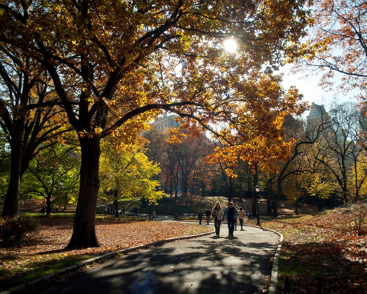 Central Park en otoño